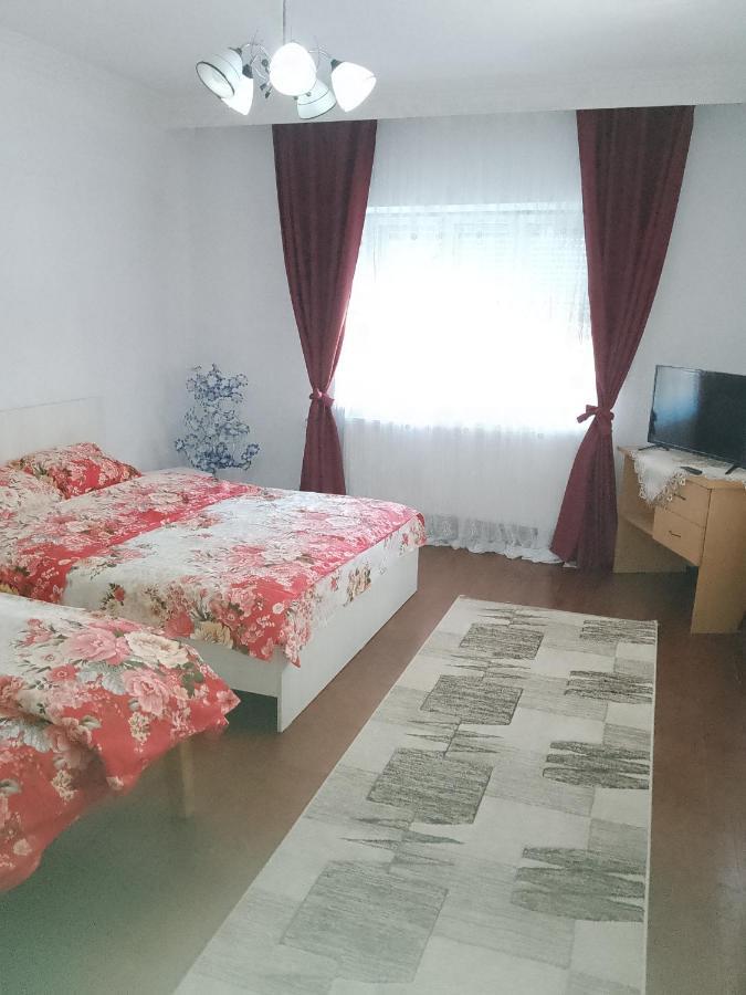 Casa Roxy Apartment Cristian  Bagian luar foto