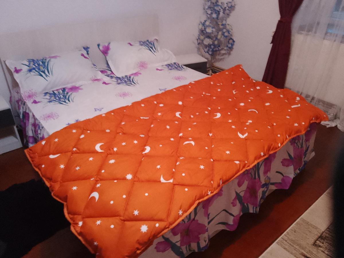 Casa Roxy Apartment Cristian  Bagian luar foto